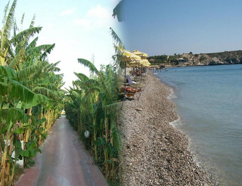 Alfa Hotel Κολύμπια Δωμάτιο φωτογραφία